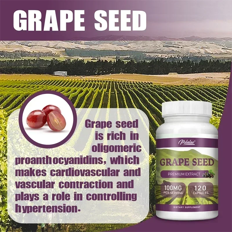 

Grape Seed Extract Capsules - Antioxidant, Anti-Aging, Reduce Wrinkles, Brighten Skin Tone, Maintains Healthy Skin and Veins