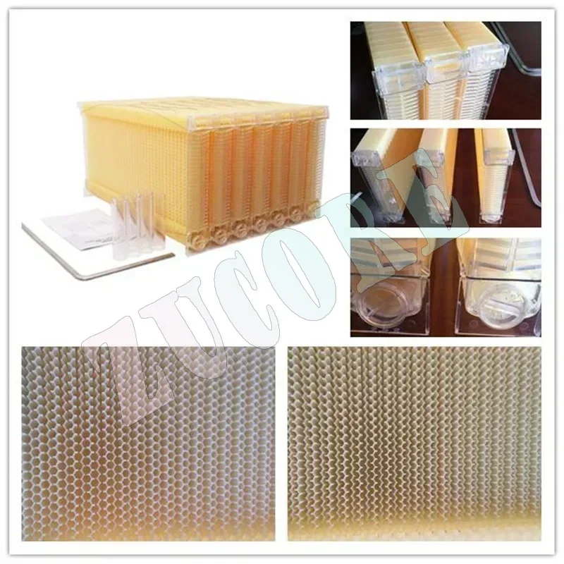 Self Flowing Hive Frames Automatic Extraction Boxes Honey Spleen Plastic  Honey Hive Frames Beehives