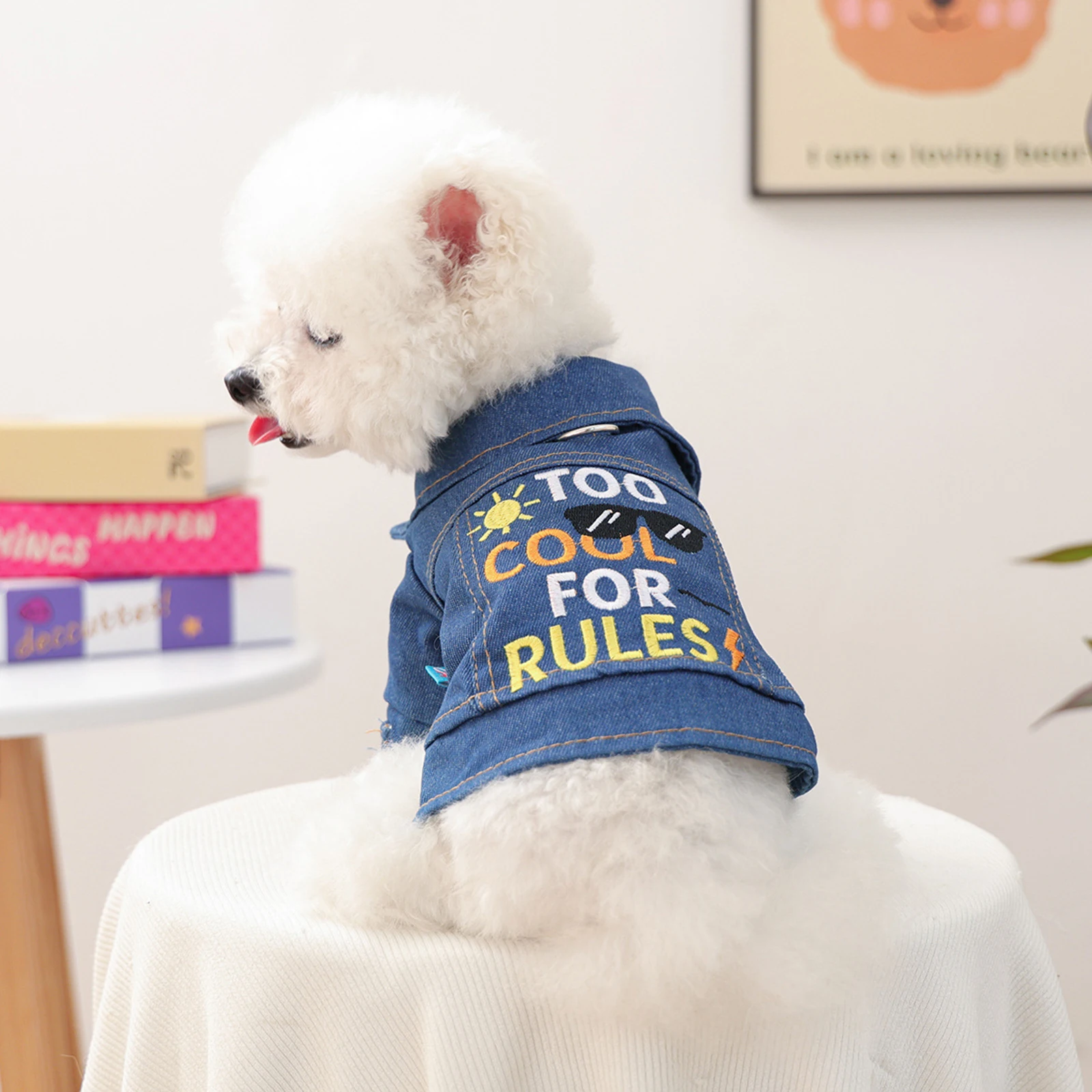 سترة جينز مطرزة بحروف الشمس للكلاب الصغيرة والمتوسطة والبنات والأولاد