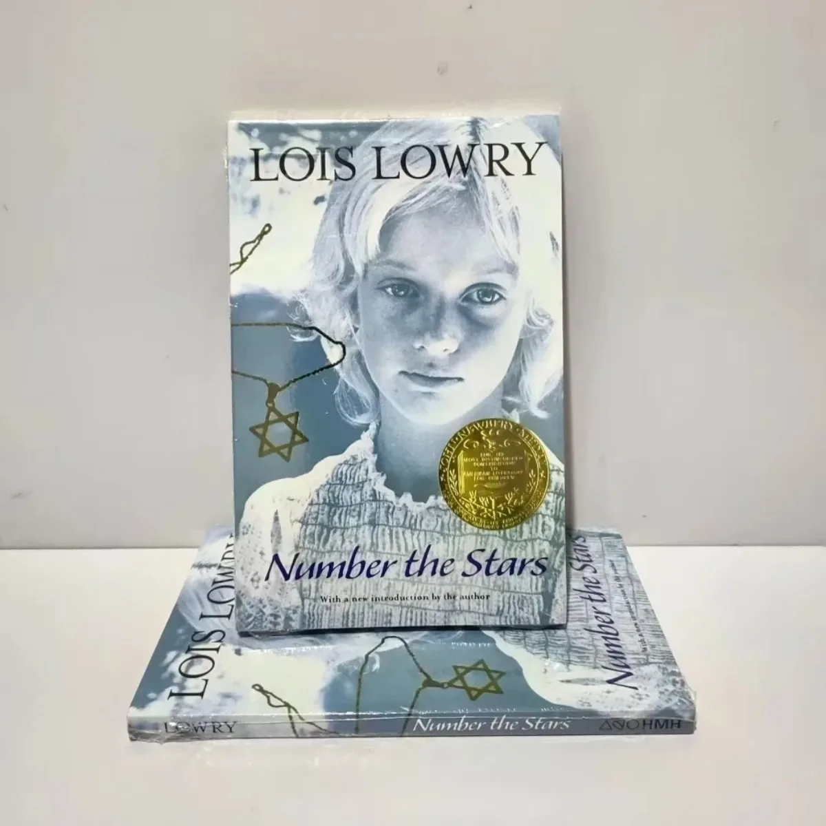 

Number The Stars By Lois Lowry - Newbery Medal WWII Historical Fiction | Danish Resistance Jewish Rescue Courage Friendship Book