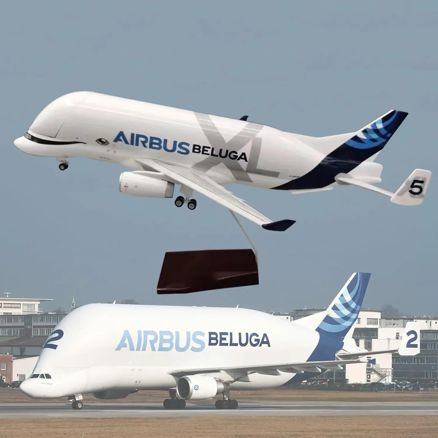 42cm Diecast Resin 20cm A330 Beluga Airlines Airplane 1:150 Scale Jet Airplane Openable Cargo Bay Aircraft Model Home Collection