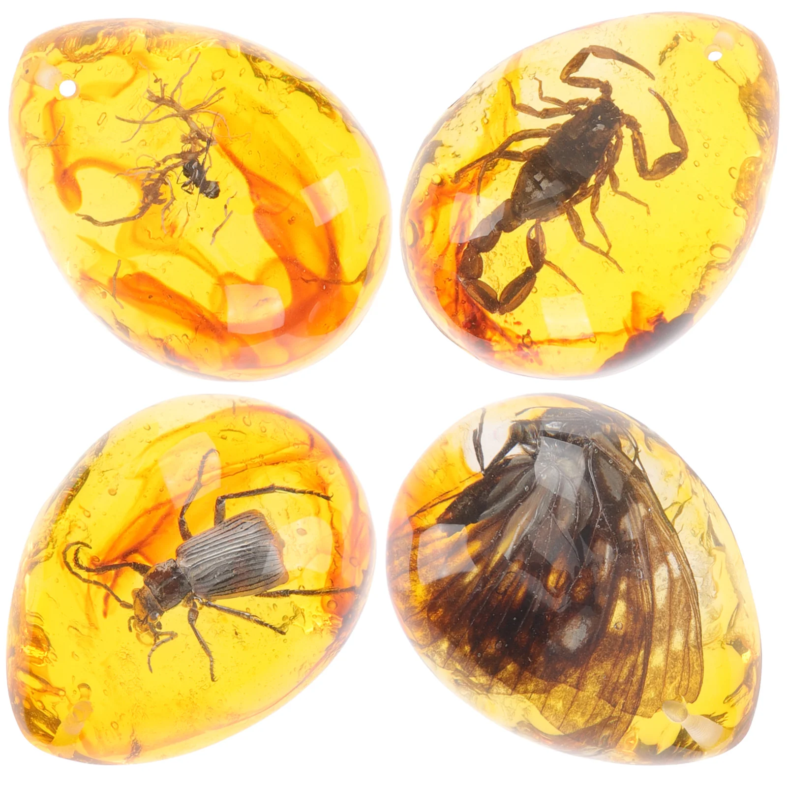 4 Pcs Large Insect Amber Specimen Insects Synthetic Resin Specimens Pendants Craft