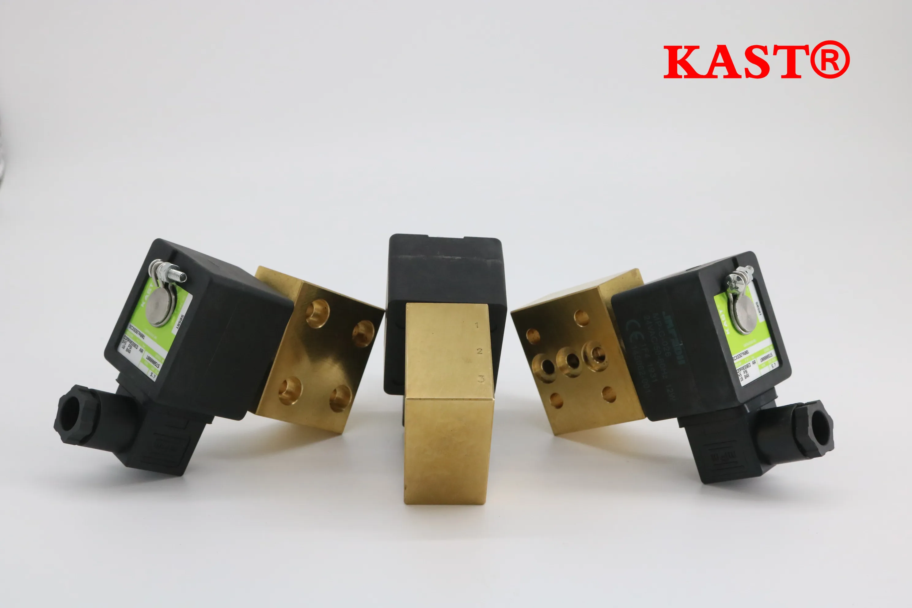 Suku Cadang Kompresor Udara TLF 1089059024 Katup Pembuangan Katup Blow Off Inch 110v dengan Katup Solenoid