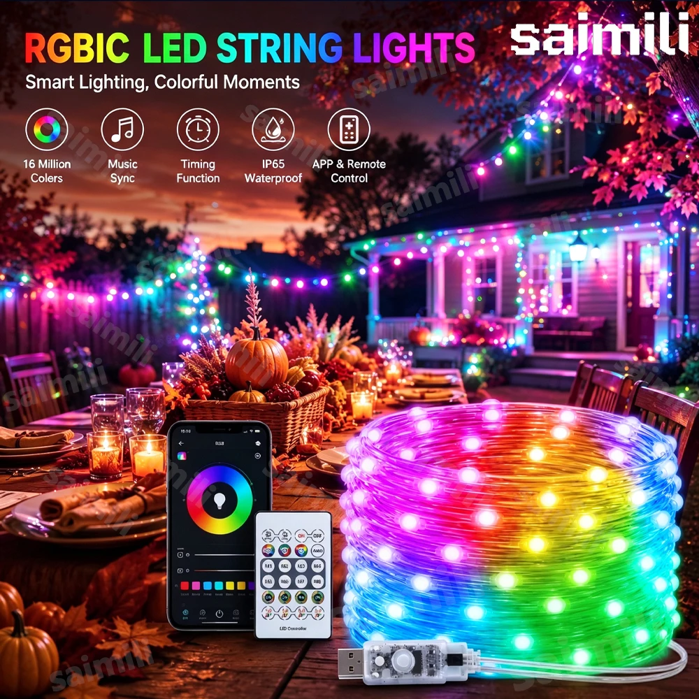 RGBIC Fairy String Lights WS2812B USB Bluetooth Remote Control Dream Color Waterproof Lamp For Home Holiday Party Decor Lighting