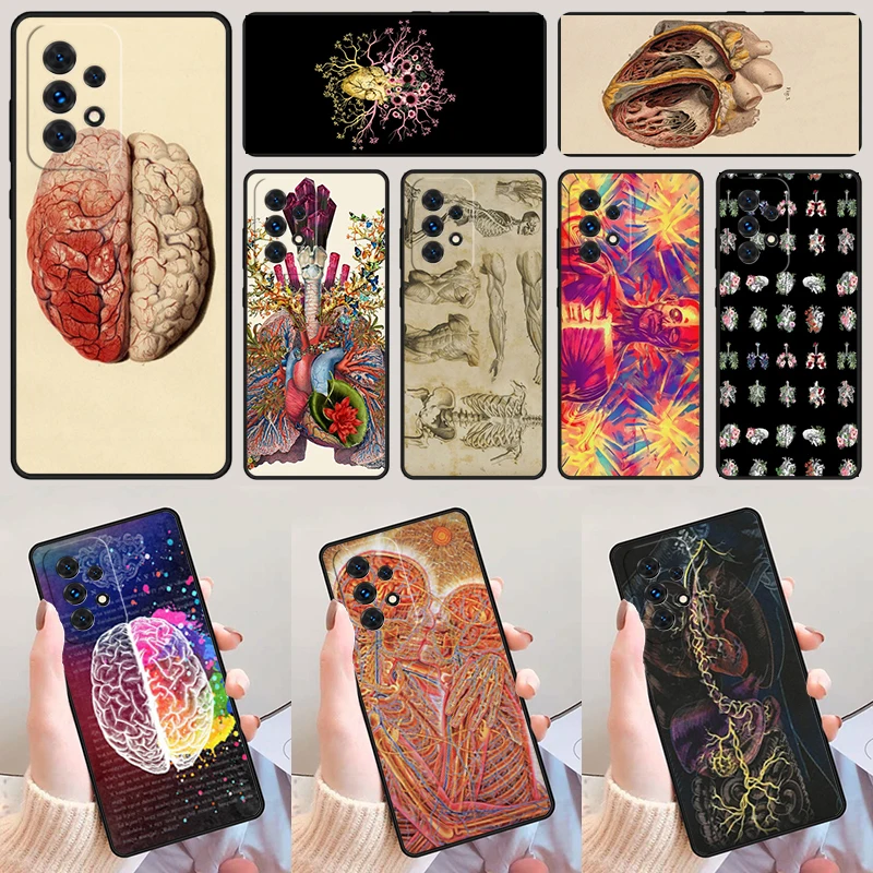 Medical Human Anato…