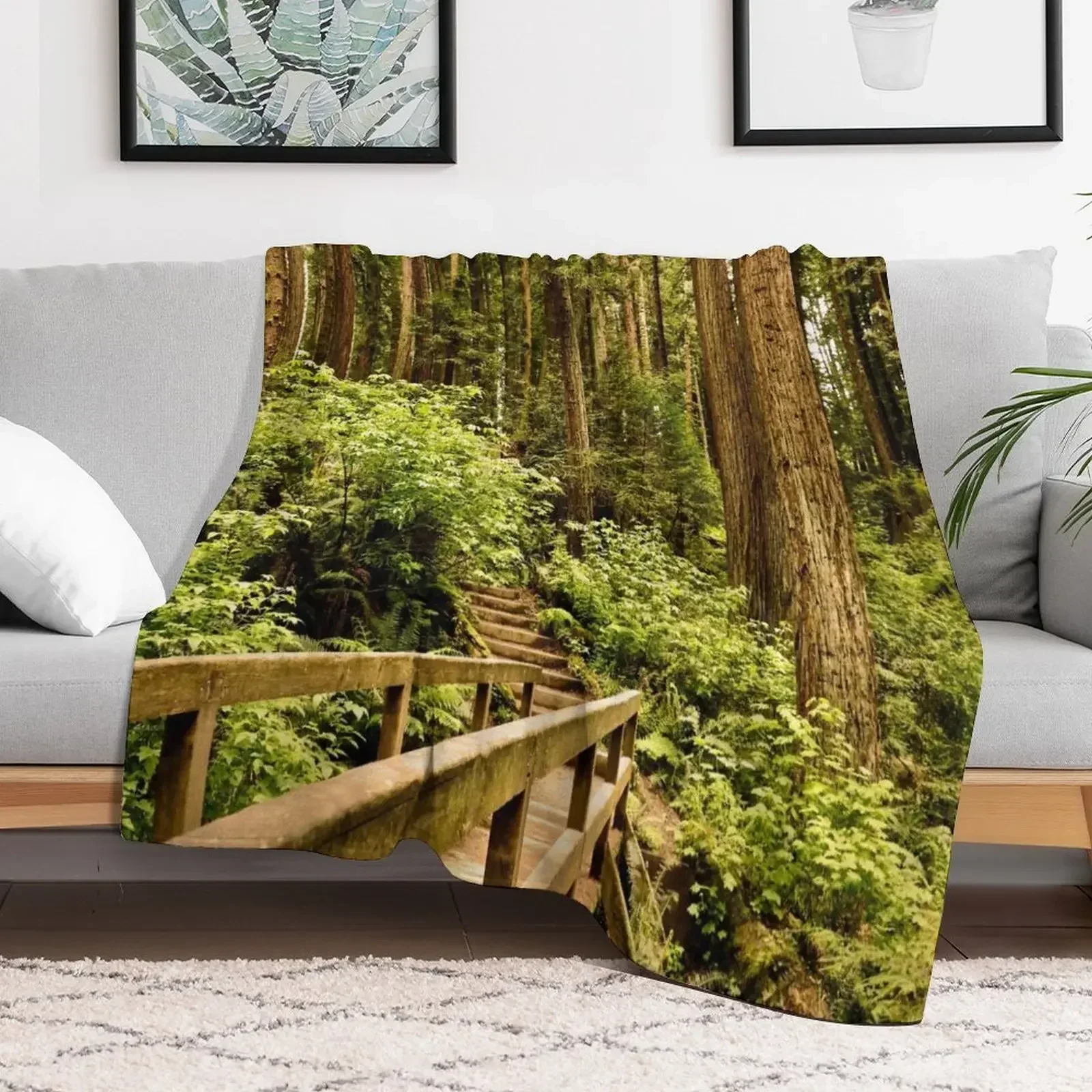 Hiking through the Redwood Forest Throw Blanket Designers Flannel Heavy Summer Beddings Blankets