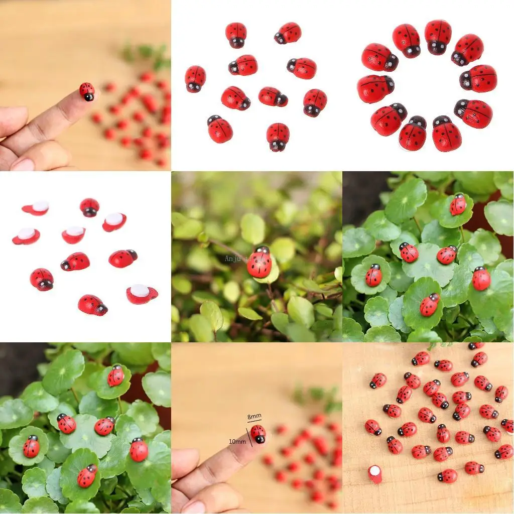 

2025 Новая 10шт мини -божья коровка