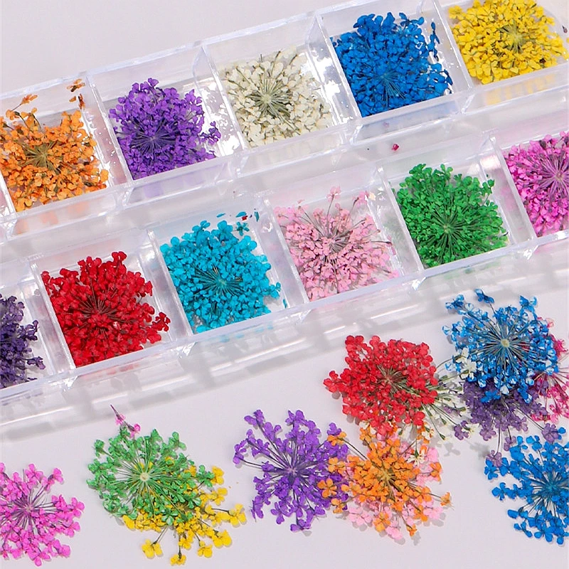 

12 Colors 24PCS Dried Flower For Nail Art Decorations Natural Nail Dry Flowers Gypsophila Paniculate Creative Manicure Tool
