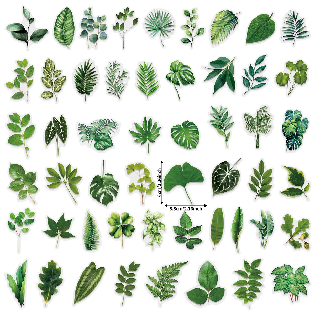 50 Transparent Floral Green Plant Stickers Made of Pet Material, Waterproof Stickers for Thermos Cups, Refrigerators, and Laptops