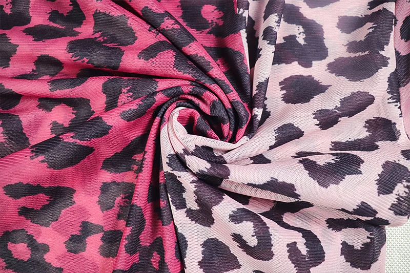 Sexy Leopard Gedruckt Sheer Club Outfits Frau Zwei Stück Set Lange Hülse O-ansatz Overall Top und Hosen Nacht Party Passenden Sets