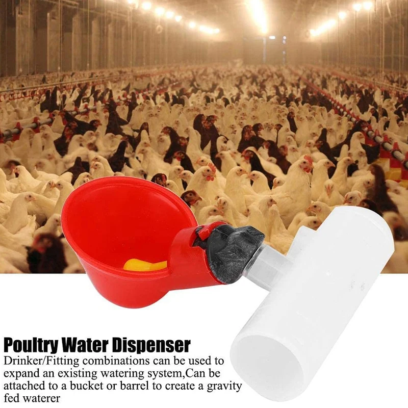 Chicken Drinking Cup 10 Pieces Automatic Drinker Drinker Red Plastic Duck Bird Quail Pigeon Hen Drinker Bowl