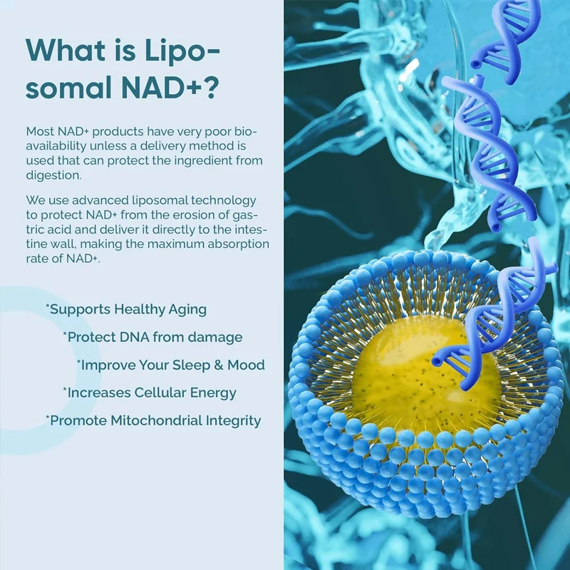 Liposomal NAD supplement, with the highest NAD+potency for anti-aging, energy, and focusing -60 capsules