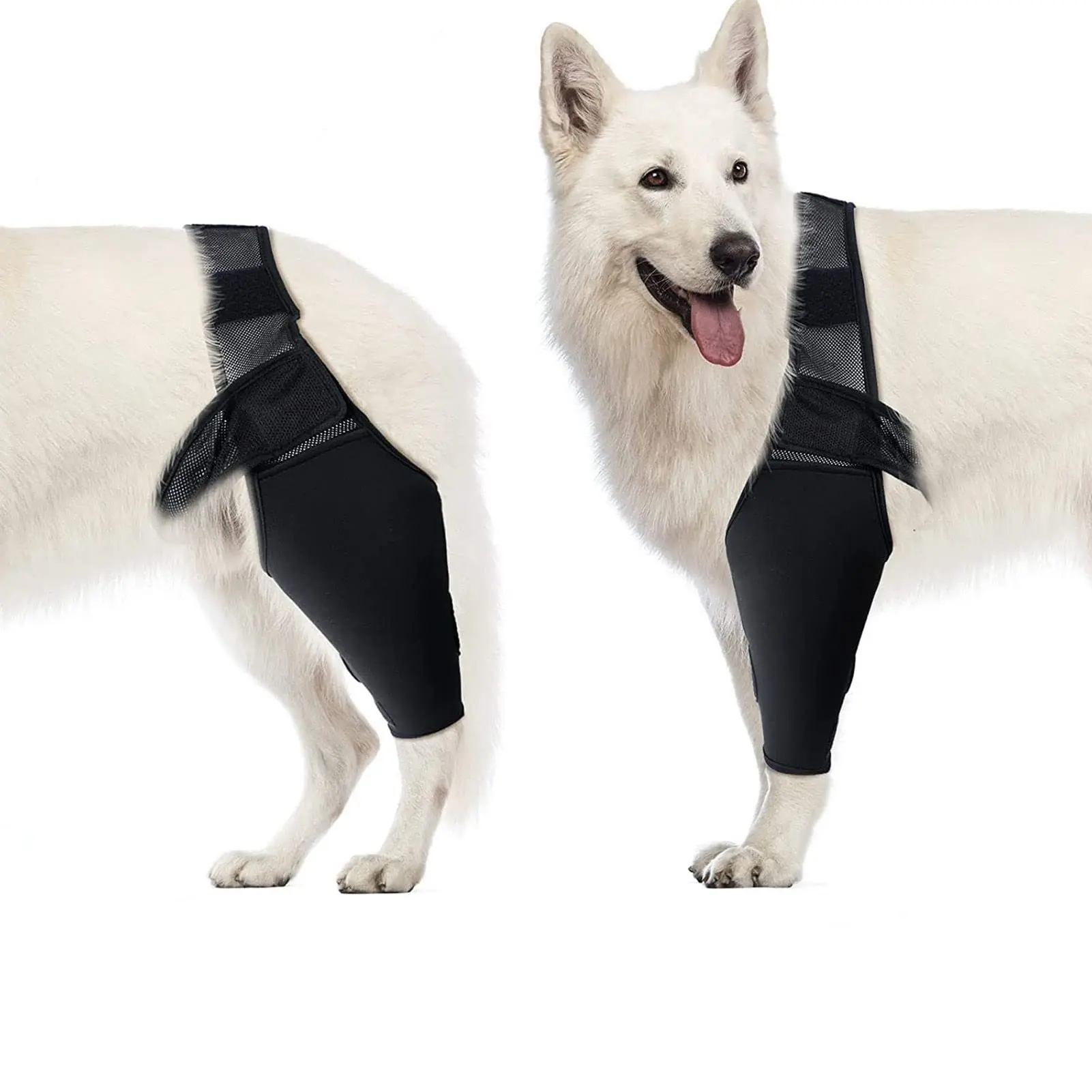 Joelheira para cães de estimação, suporte para dor nas articulações, dor muscular, perna traseira, suporte para idosos, deficientes, cães feridos