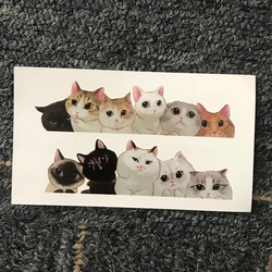 Water Transfer Tattoo cute little cat tatto body art  Waterproof Temporary fake Tatoo for man woman kid 10.5*6cm