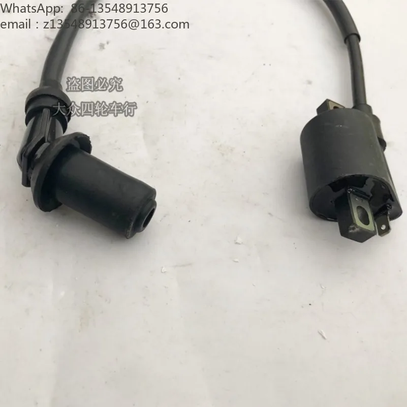 150-250CC Dirt Bike ATV Quad Ignition System Kit High Voltage Ignition Coil Complete Electrical Parts for Off Road Beach Vehicle