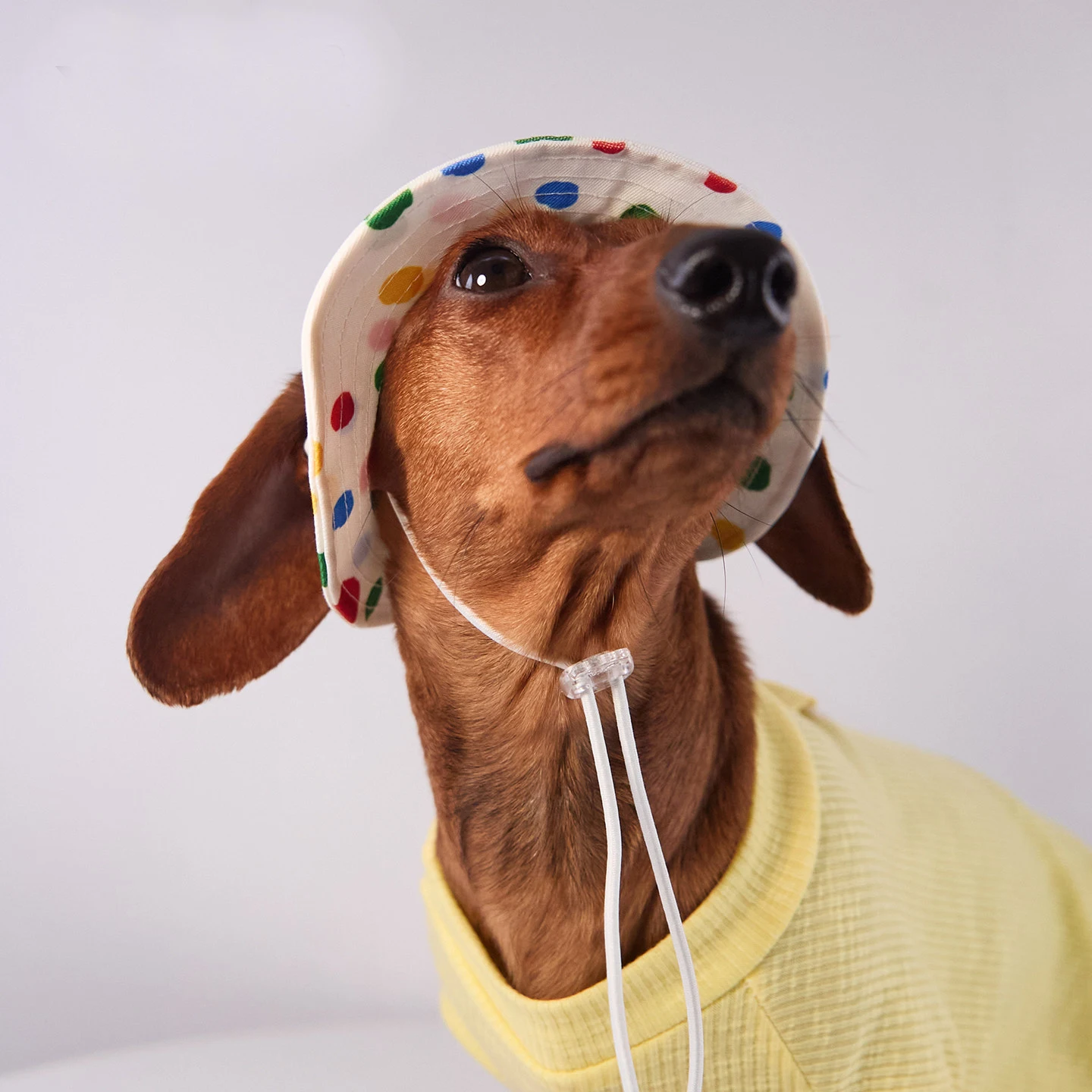 Gorra verano para perros pequeños y medianos - Protección solar - imagen 4