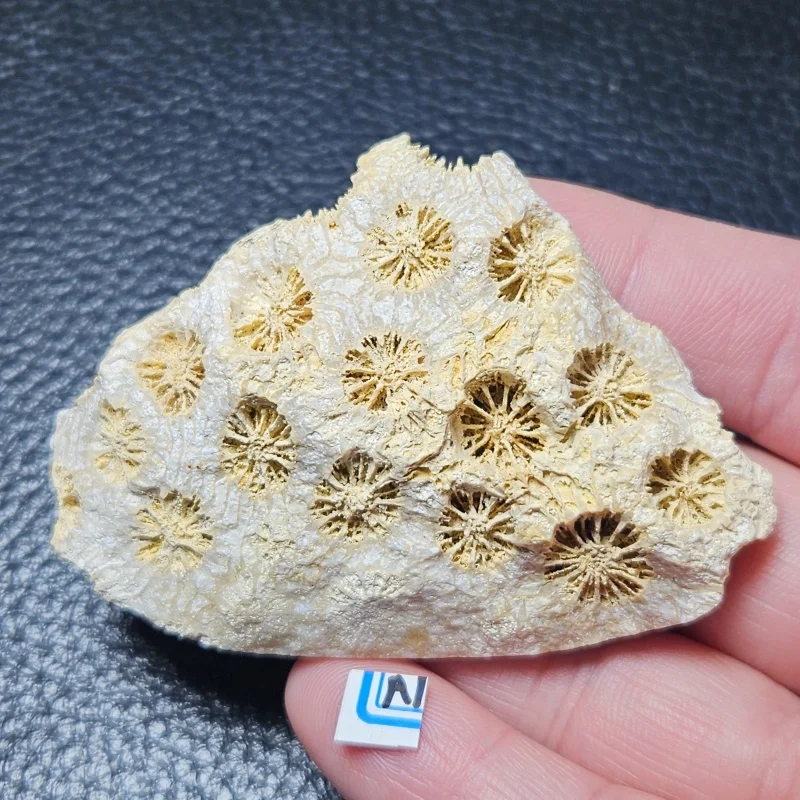 Natural agate crystal rough surface rough stone instructional supplies for Halloween decoration gifts