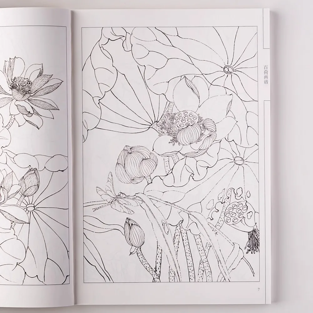 Livro para colorir fácil Baihe - Desenhos relaxantes de desenho de linha chinesa Pintura manual simples para todas as idades