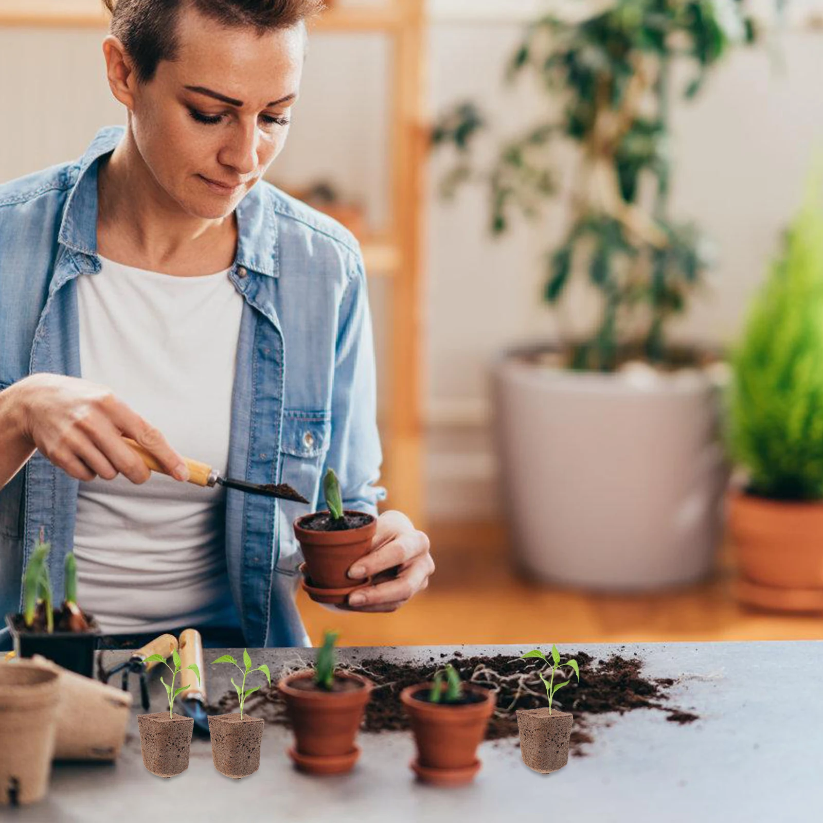 

40pcs Seed Starter Blocks Soilless Cultivation Hydroponic Growing Media Compressed Cubes For Garden Transplanting Supplies