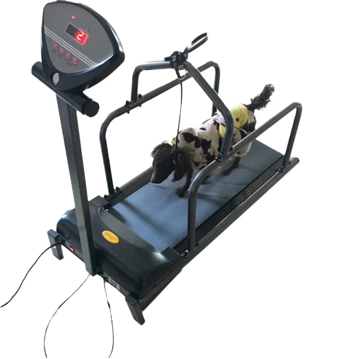 Cinta de correr para mascotas, cinta de correr pequeña para perros domésticos, cinta de correr para animales, suministros para perros C100
