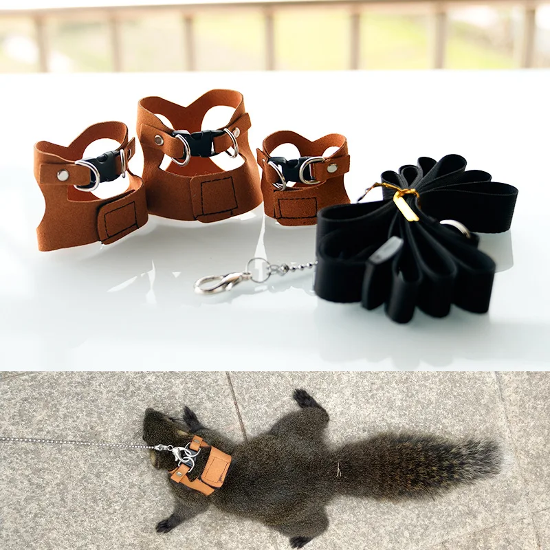 Split Vest Style Squirrel Harness Leash Combo Chew Proof Breathable Soft Padded for Small Pets  Budgie Bird Toy Parrot Toys