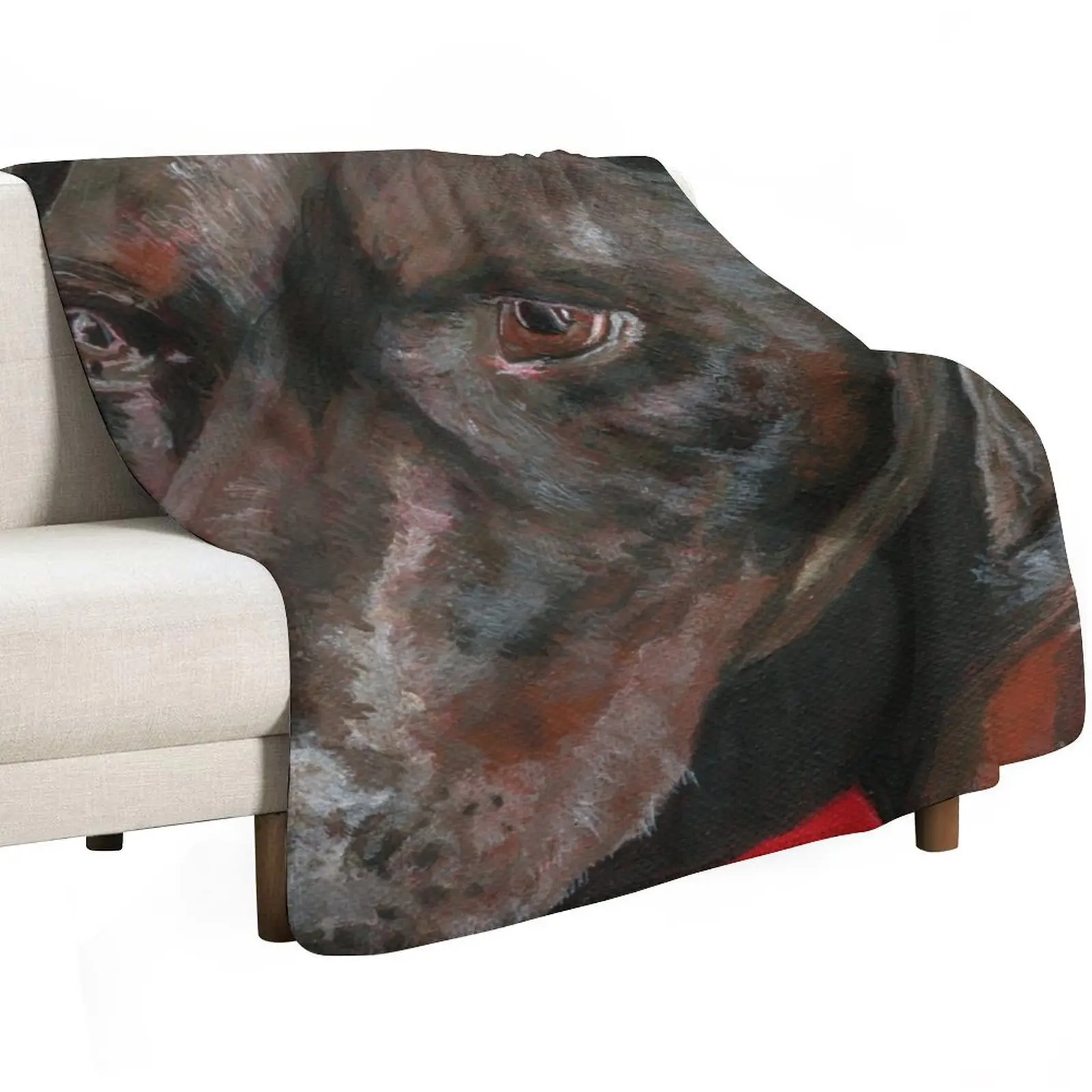 Scout Throw Blanket valentine gift ideas Furrys for sofa Decorative Throw Plush Luxury Thicken Blankets