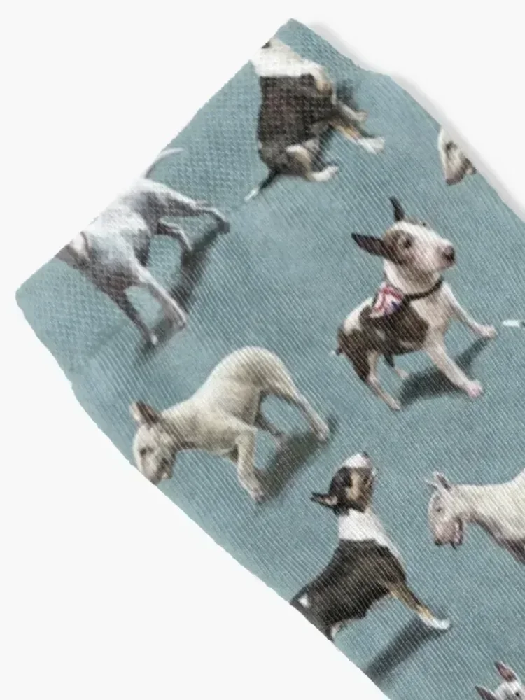 The Bull Terrier Socks tennis gifts aesthetic sports and leisure Luxury Woman Socks Men's