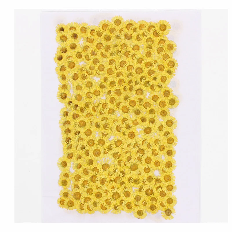 60Pcs Plant Specimens, Small Flowers, Dried Flowers, Pressed Flowers, Photo Frames, Bookmarks, Nail Art, Real Flowers for Makeup, Resin Phone Case Materials, Decorative Items