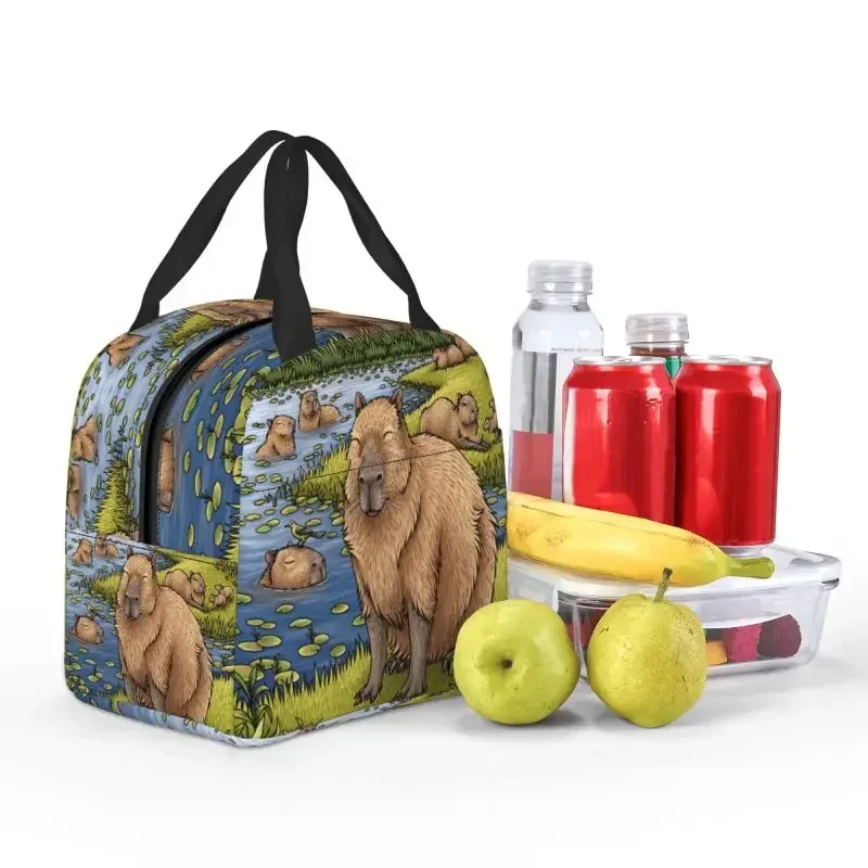 Fiambrera con forma de Animal Capybara para hombre y mujer, con aislamiento térmico fiambrera, ideal para el trabajo escolar, Picnic y comida