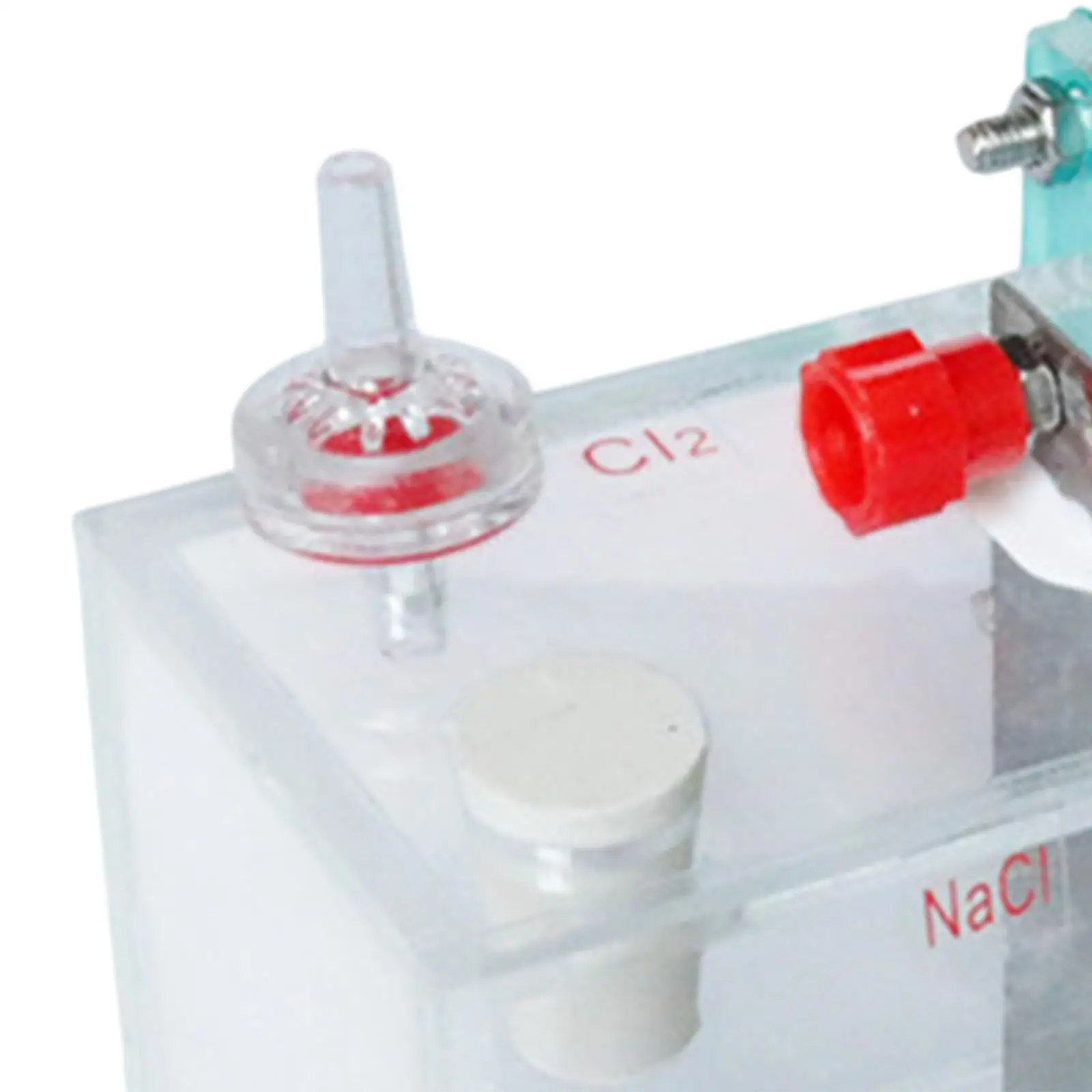 전해조 시위자 이온 교환 멤브레인 사용하기 쉬운 줄기 도구 교실 교사 청소년을 위한 티타늄 전극 장비