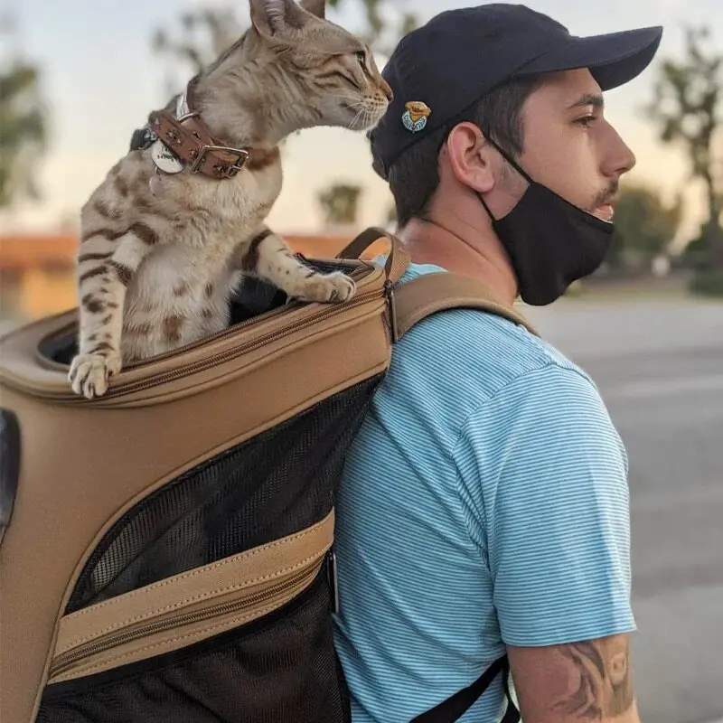 Space Capsule Cat Backpack Breathable Cat Travel Backpack Transparent Window Cats Carrier Outdoor Hiking Trip Pet Carriers