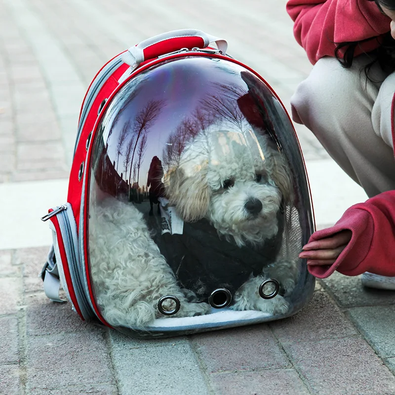 

Cat Backpack Large Capacity Transparent Expandable Pet Outing Bag Portable Dog Shoulder Bag Breathable Bag