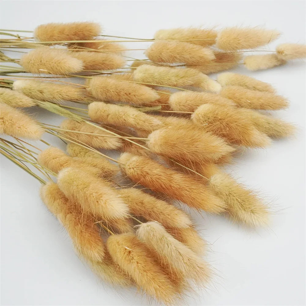 100pcs Bunny Tails Dried Flowers Boho Table Decor,Dry Pampas Grass Bouquet for Wedding,Home,Rustic Party,Baby Shower Decorations