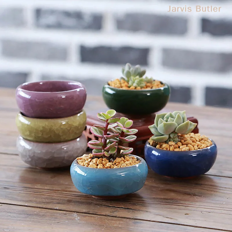 Cute Ice-Crack Glaze Flower Ceramics Succulent Planter Mini Plant Pot Garden Flowerpot For Home Office Decor Plant Pot