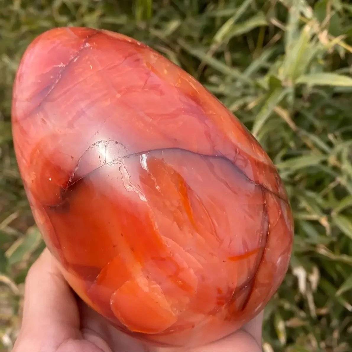 Oval-shaped red agate crystal egg - a gemstone with a deep red to wine-red luster.