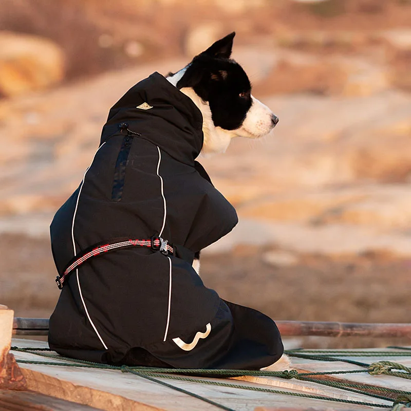 Imagem -06 - Truelove Roupas para Animais de Estimação Impermeável Blusão Destacável Jaqueta Roupas para Cães Padrões de Moda Macio Cabolsa de Chuva para Animais de Estimação Yg1872