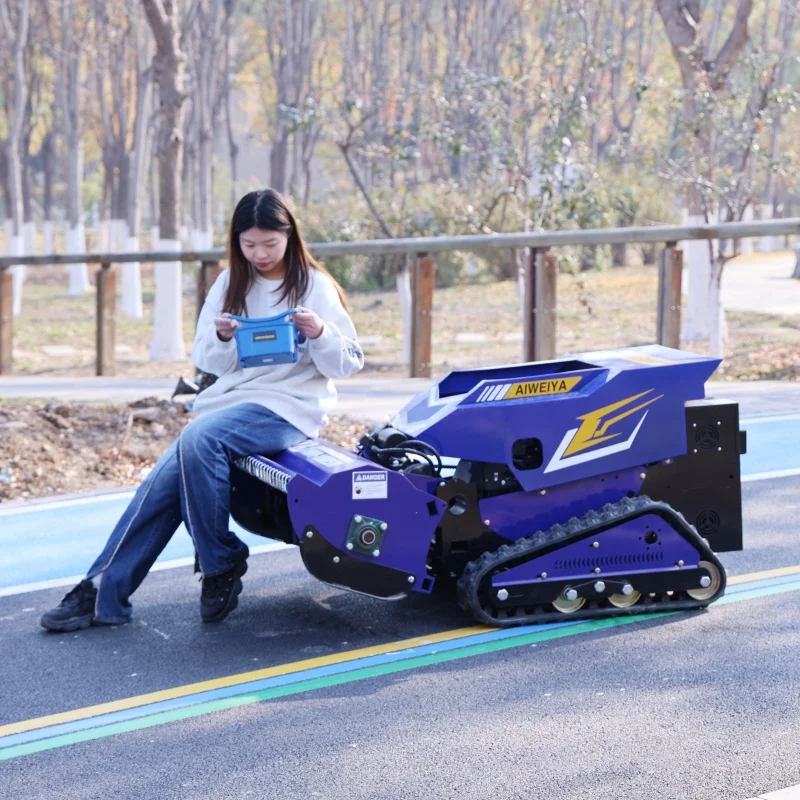 

Индивидуальная одноцилиндровая четырехтактная самоходная косилка Беспроводной пульт дистанционного управления Smart CE EPA Автоoritative Certified