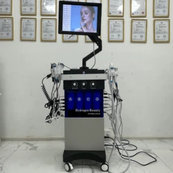 Skin Rejuvenation Hydrodermabrasion Facial Skin Care Machine  Peel Machine Hydra Beauty Skin System Machine