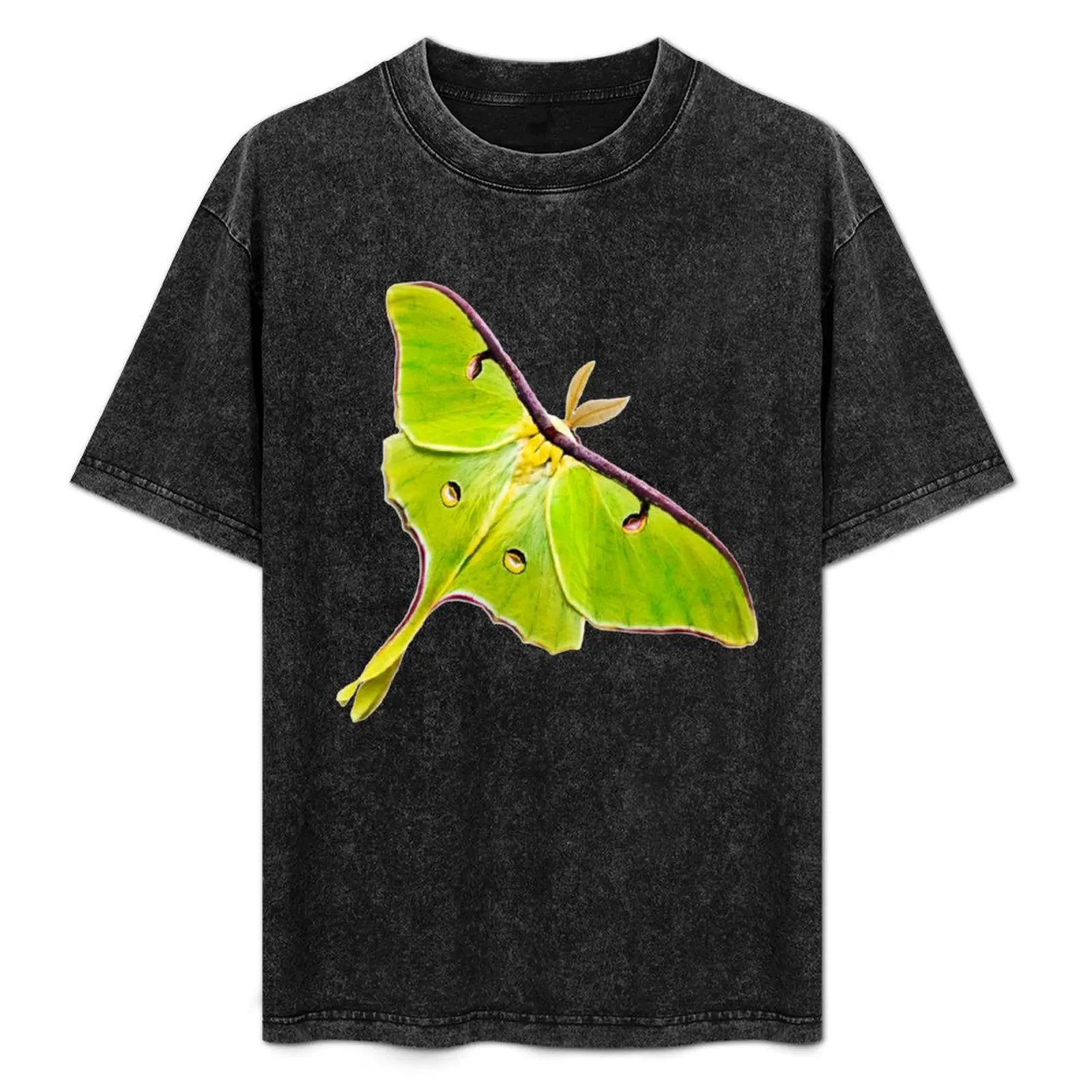 

Футболка с коротким рукавом Luna Moth Square для мужчин, большие размеры