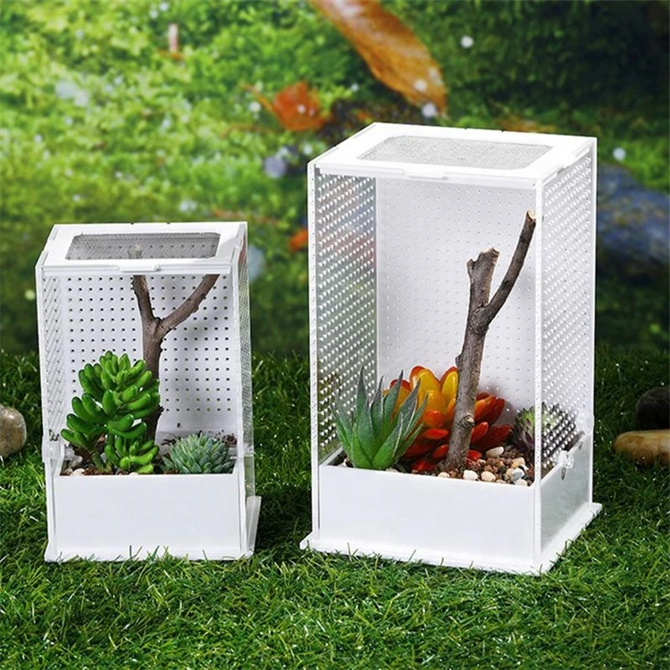 Direct Selling Rutin Chicken Breeding Box Mantis Spider Lizard Horned Frog Crawling Pet Acrylic Transparent Breeding Box