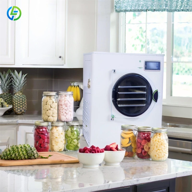 Fruit Liofilizador Machine Price Small Mini Vacuum Freeze Drying Equipment Home Use Food Candy Freeze Dryer FL Customized