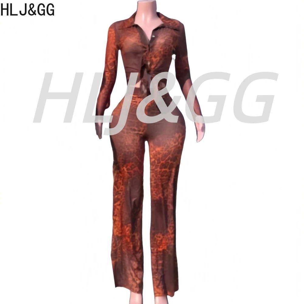 Hlj & gg sexy leopardo impressão malha ver através de conjuntos de duas peças feminino decote em v botão manga longa topo e calças outfits y2k streetwear