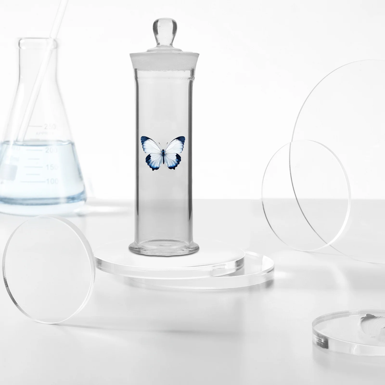 

Glass Specimen Bottle Airtight Lid High Transparency Clear Display Bottle Laboratory Storage Container Sample Showcase Jar