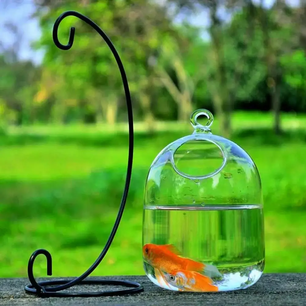 Durable Hanging Fish Tank Glass Creative Practical Exquisite Decor Display Mold  Home Ornament Decorative