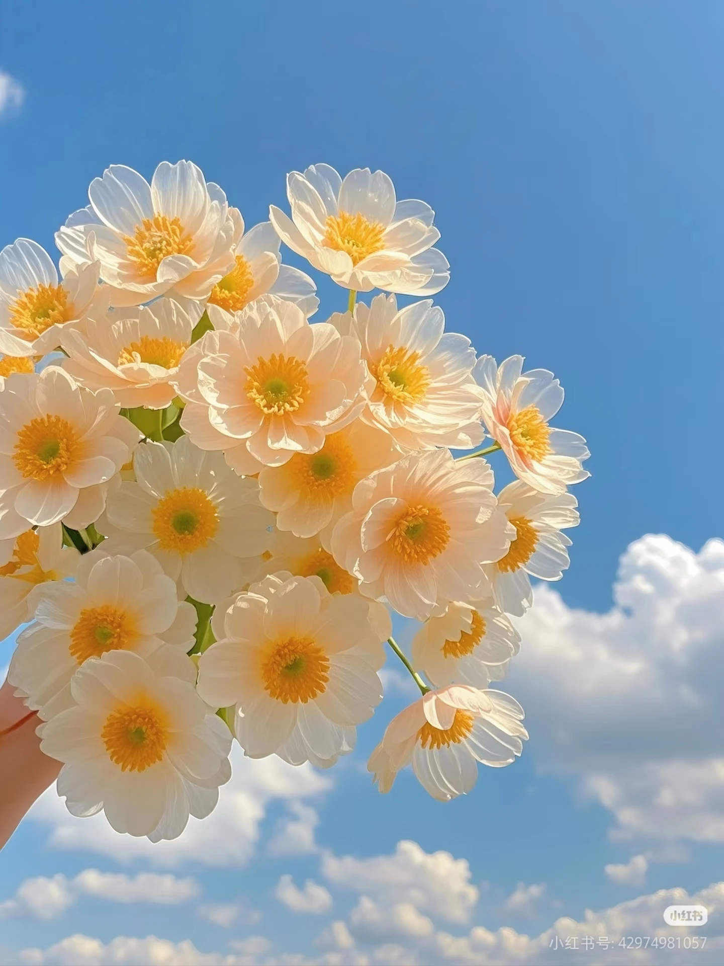 

Portable 12 Lipolaser Weight Loss Slimming Machine 5mw Lipo Machine Body Sculpting Body Slimming Home Use Machine