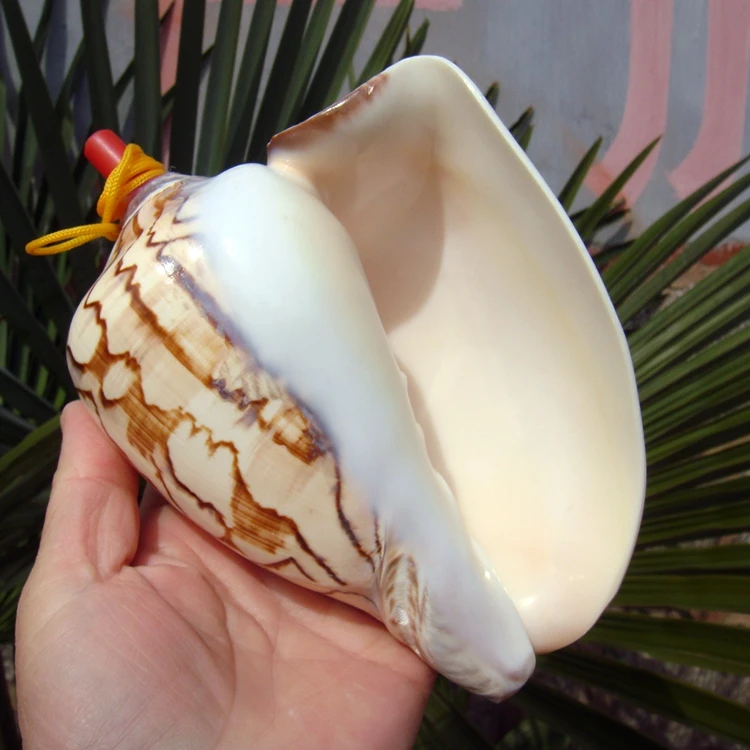 Big Sea Conch Screw Whistle, Conch whistle Shell Crafts, Can Be Melt, Free Small Gifts for Children, Free view 3