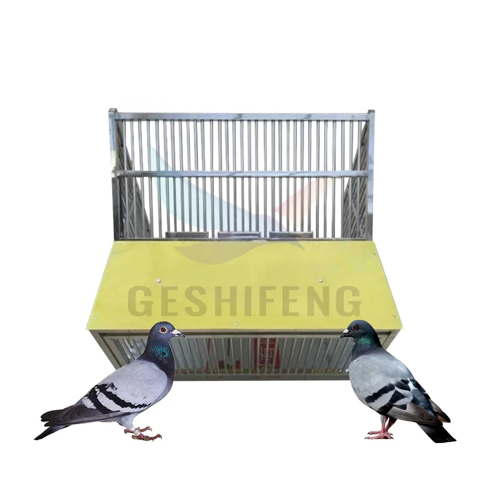 Stainless steel jump cage for flying pigeons with a  T-trap door, an outdoor metal cage that can fly in and out.