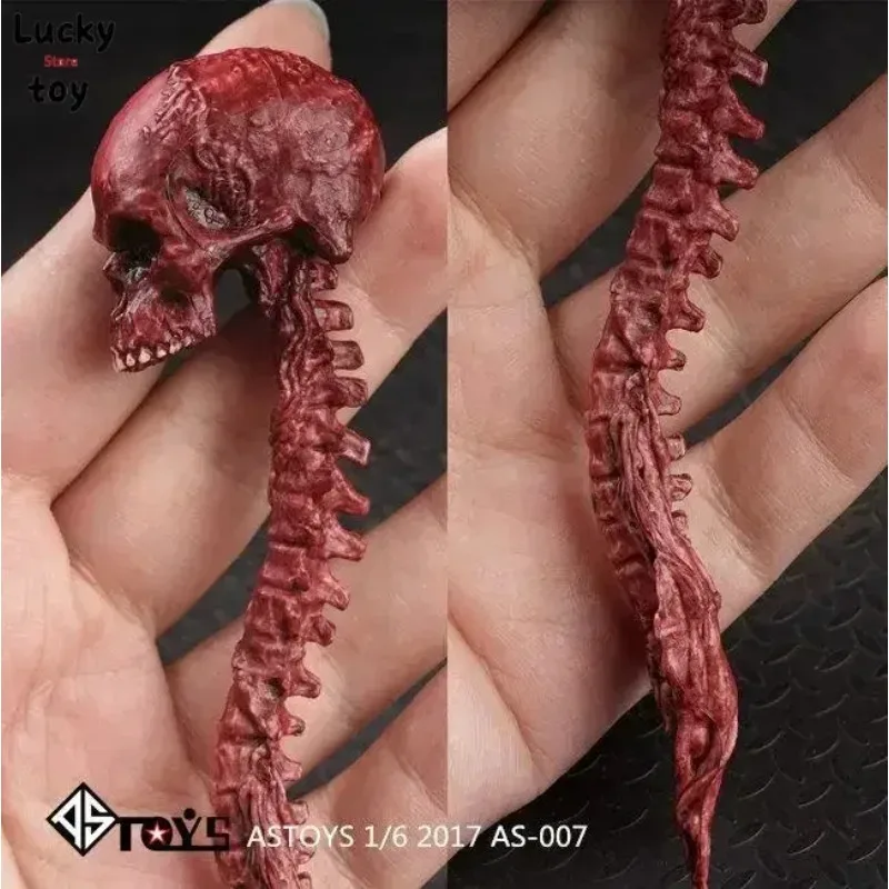 1/6 1/12 Zombie Sku…