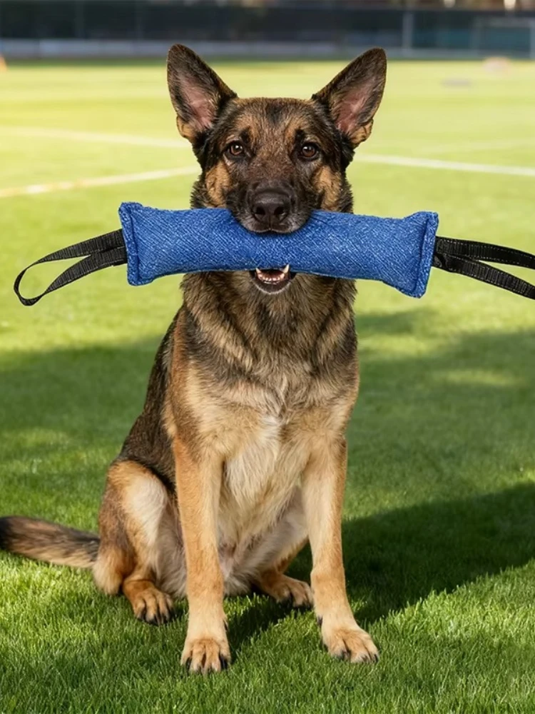 #38 Newest Dog Tug Toys