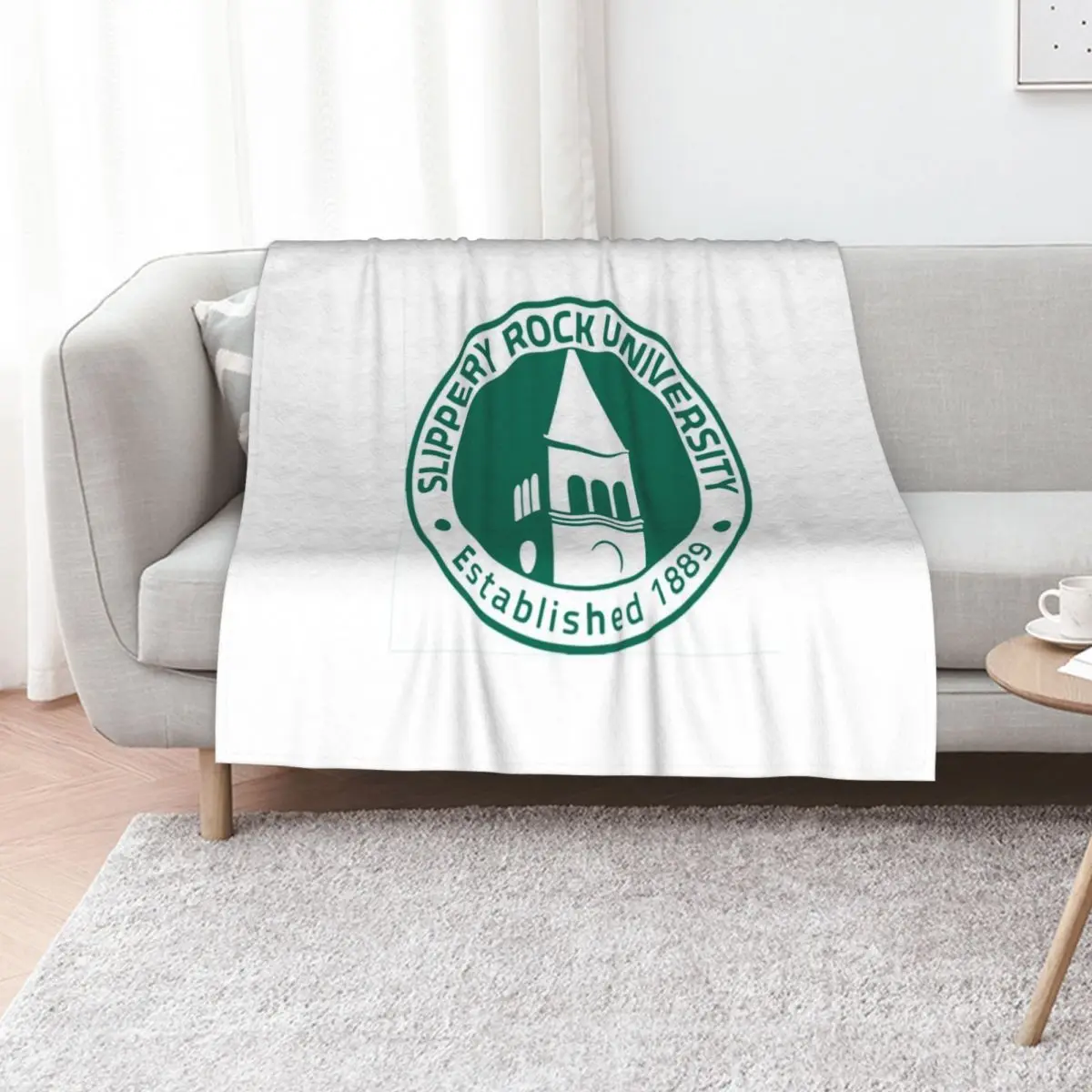 slippery rock seal Throw Blanket Luxury St Bed linens warm winter Cute Plaid Personalized Gift Sofa Blankets